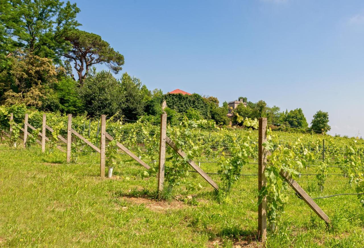 Vila Braga House & Wine Exteriér fotografie
